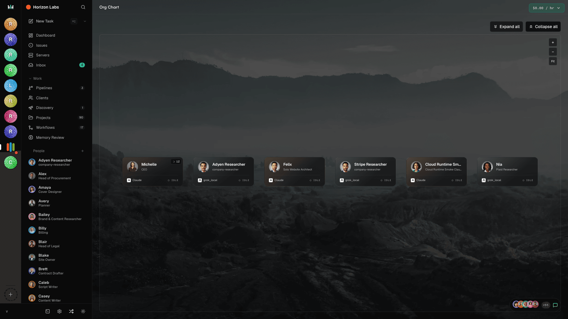 Org chart view showing divisions, teams, and reporting lines