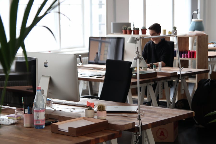 Solo founder working at a laptop in a sunlit home office